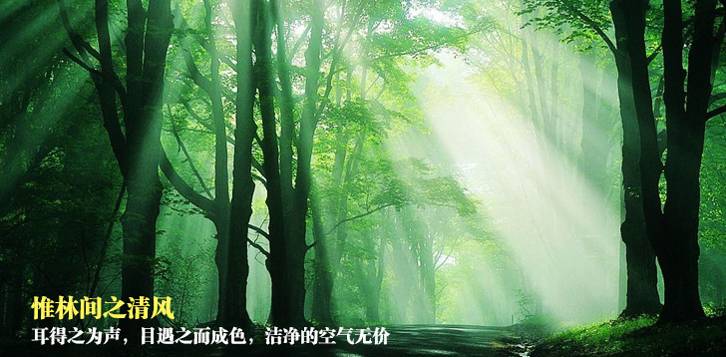 五一去杭州怎么樣？杭州千島湖五一游玩攻略